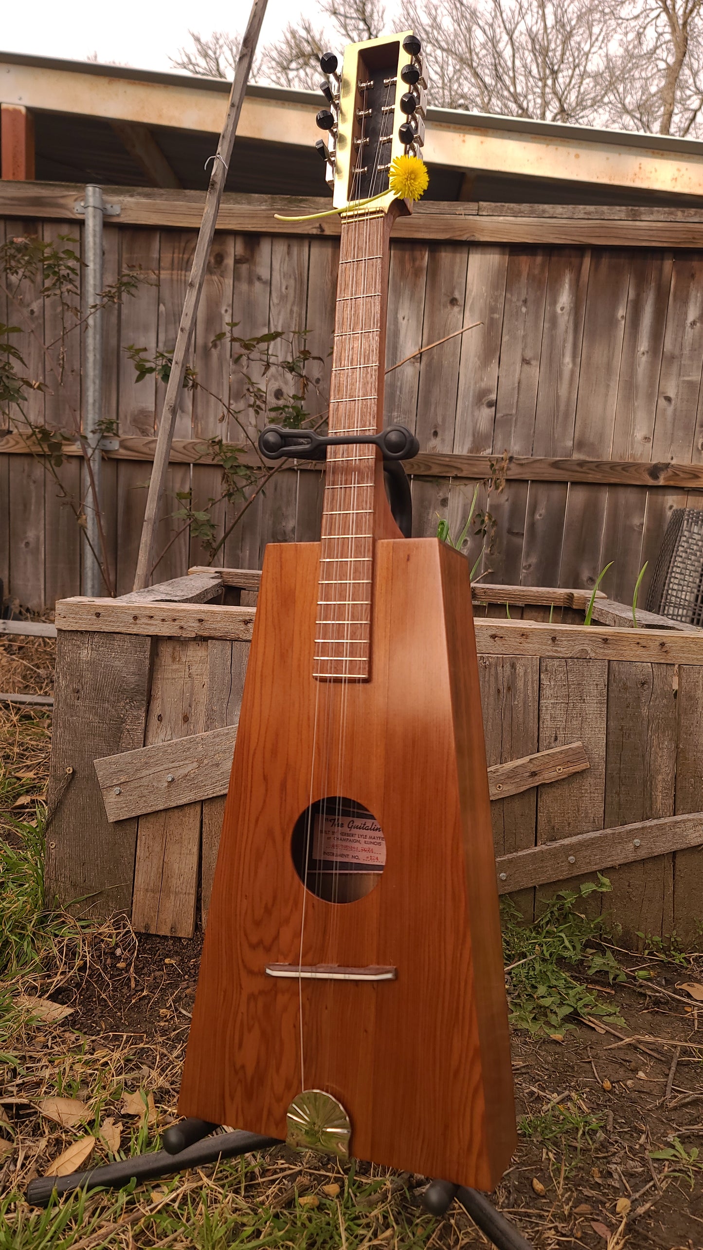 Mayfield Instrument Number 124 - Guitalin ODE-3