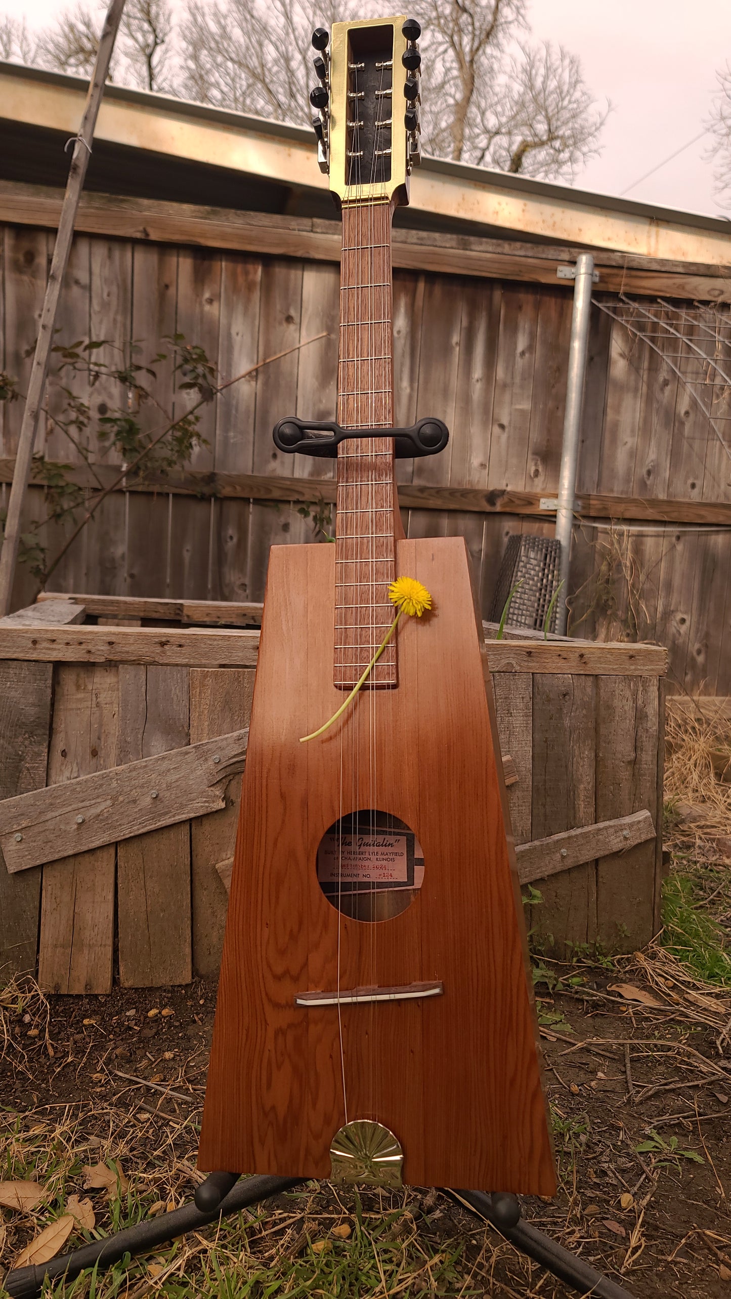 Mayfield Instrument Number 124 - Guitalin ODE-3