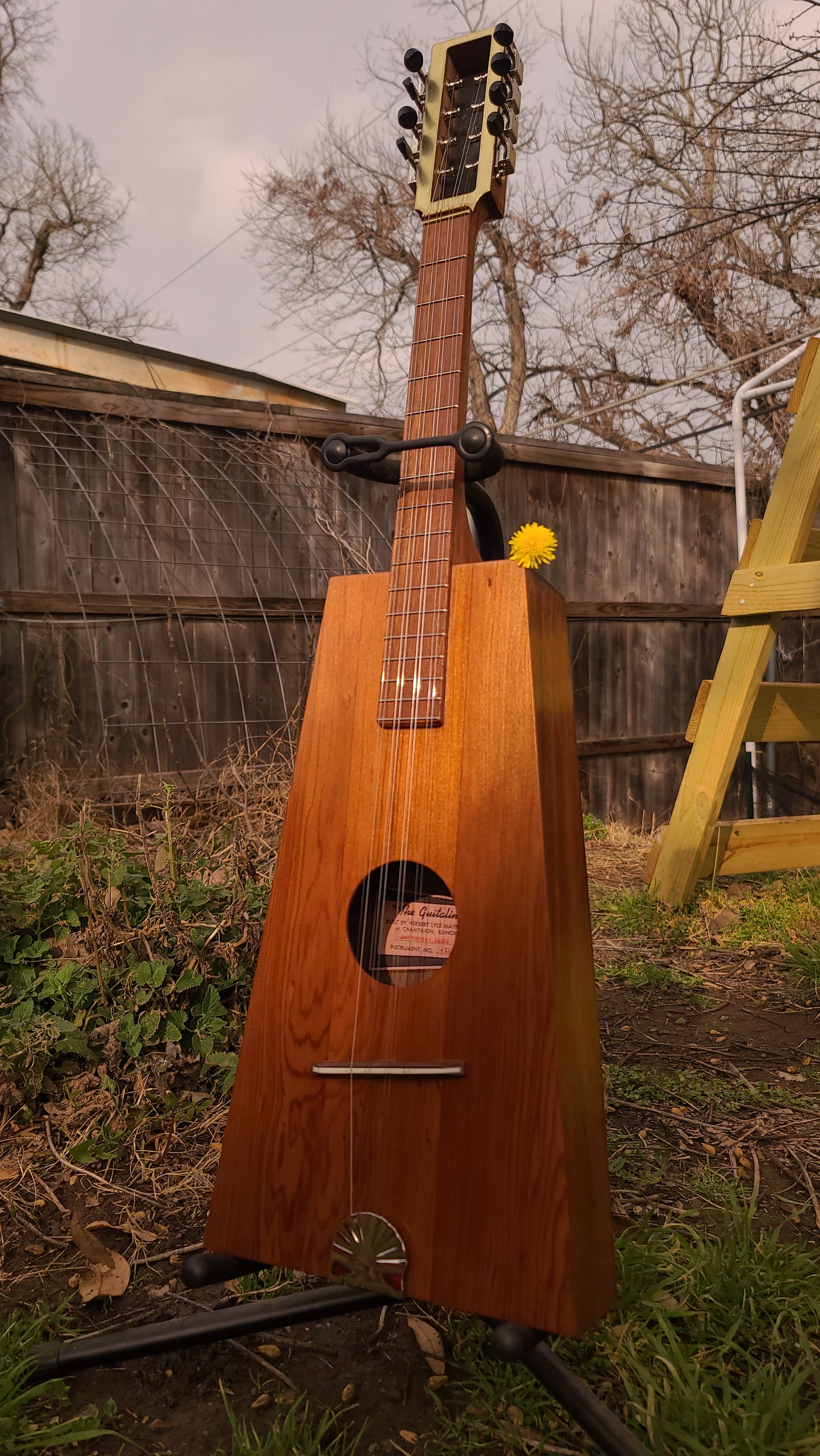 Mayfield Instrument Number 124 - Guitalin ODE-3