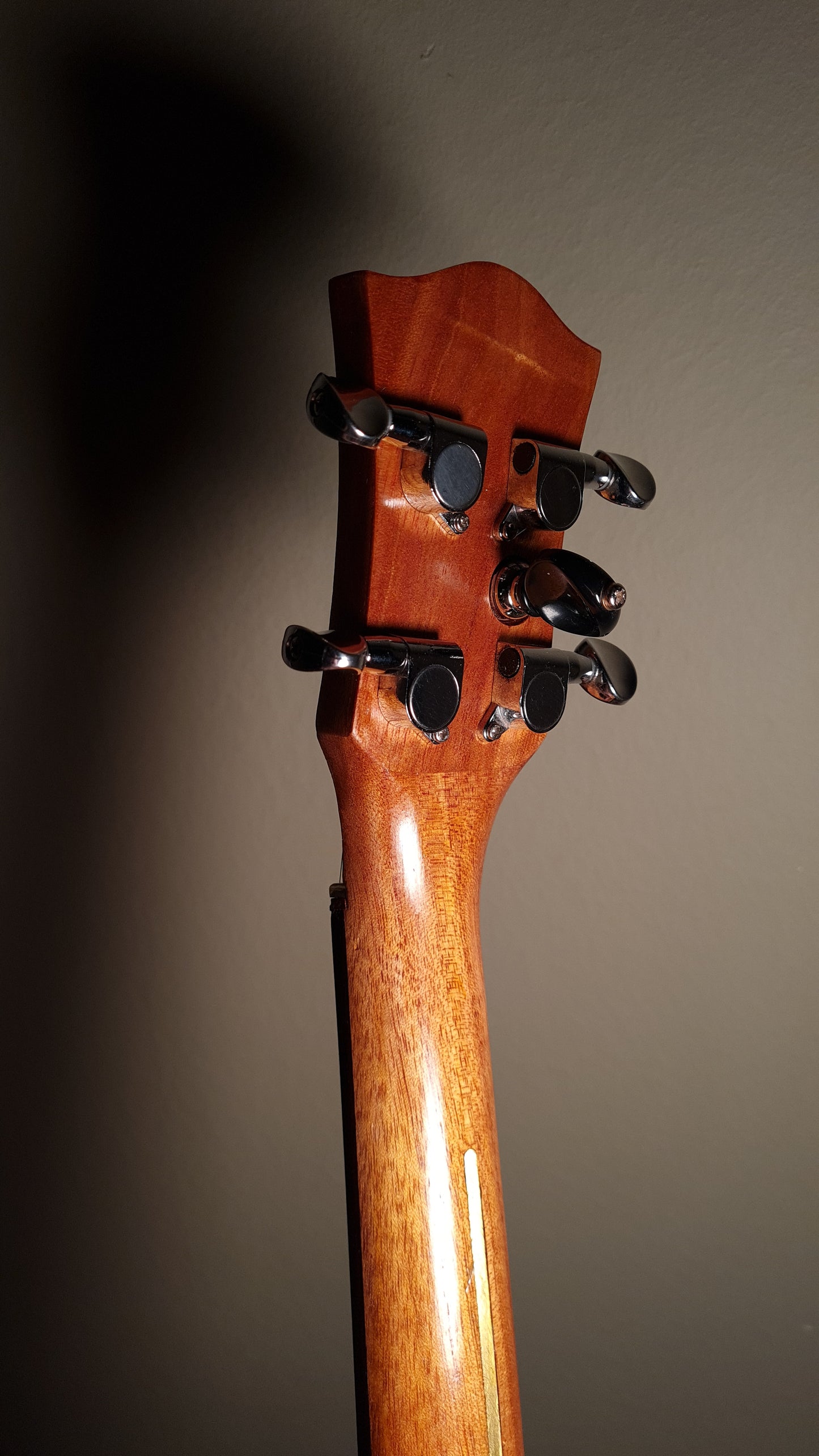 Guitaluke (5-String Ukulele)